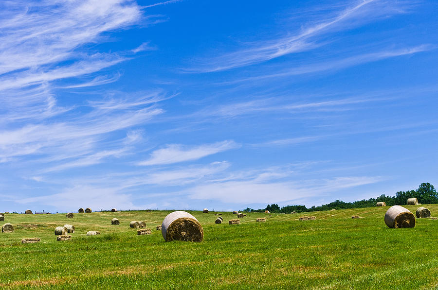 Hay Bales under Brilliant Blue Sky Photograph by Lori Coleman