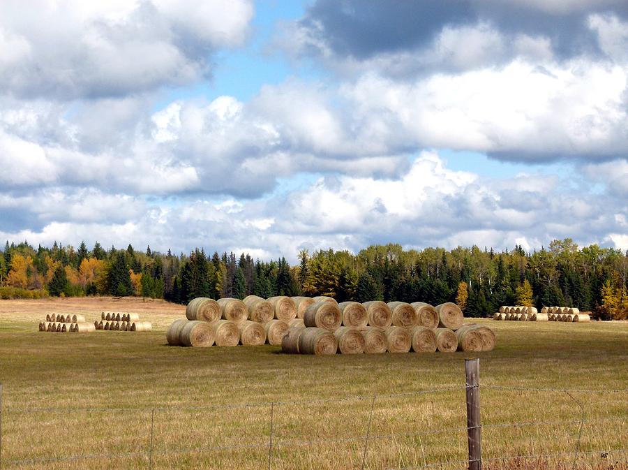 Hay Bales Photograph by Will Borden