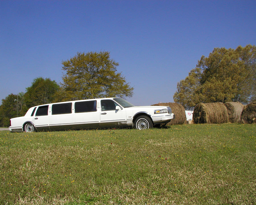 Hay Business Photograph by Steve Sperry