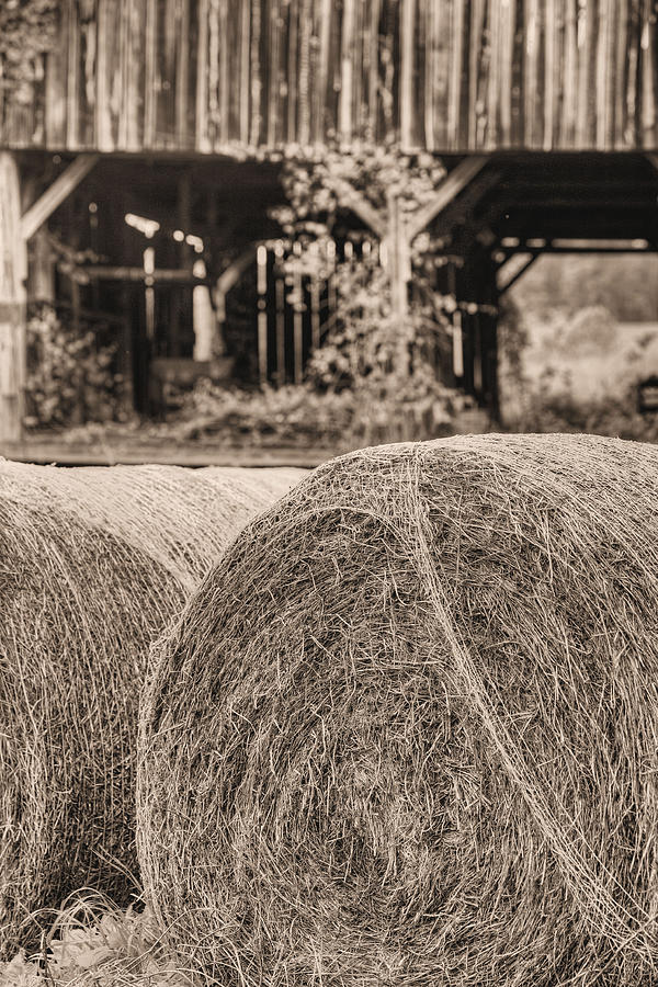 Hay BW Photograph by JC Findley