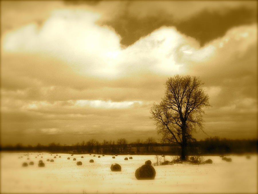 Landscape Photograph - Hay Field by Arthur Barnes Landscape Photograph - Hay Field by Arthur Barnes