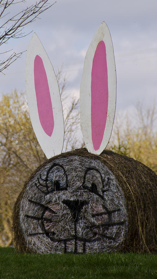 City Photograph - Hay it is the Easter Bunny by LeeAnn McLaneGoetz McLaneGoetzStudioLLCcom