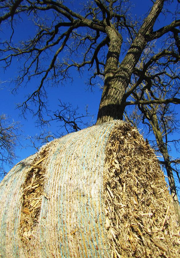 Hay Stack Photograph - Hay Stack by Todd Sherlock