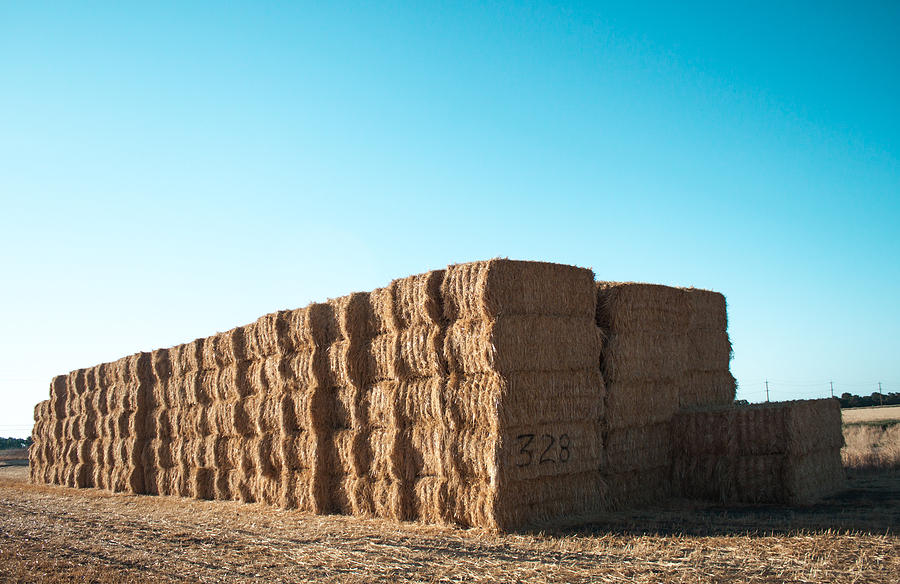Sacramento Photograph - Hay Stacked by Chris Fullmer