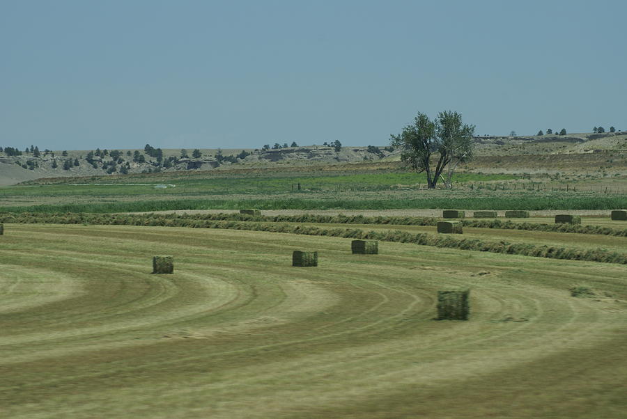 Hay Time Photograph by Jerry Cahill