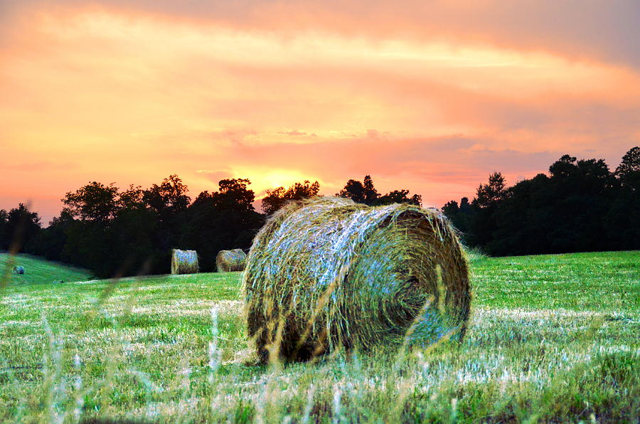 Sunset Photograph - Haybales at sunset by Esther Luna