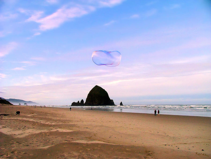 Haystack Bubble Photograph by Wendy McKennon