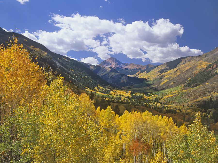 Haystack Mountain With Aspen Forest Photograph by Tim Fitzharris