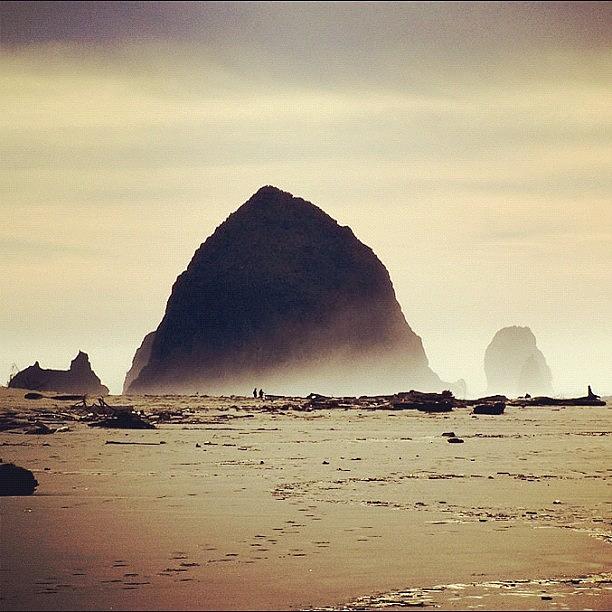 Beach Photograph - Haystack Rock by Ali Brauda
