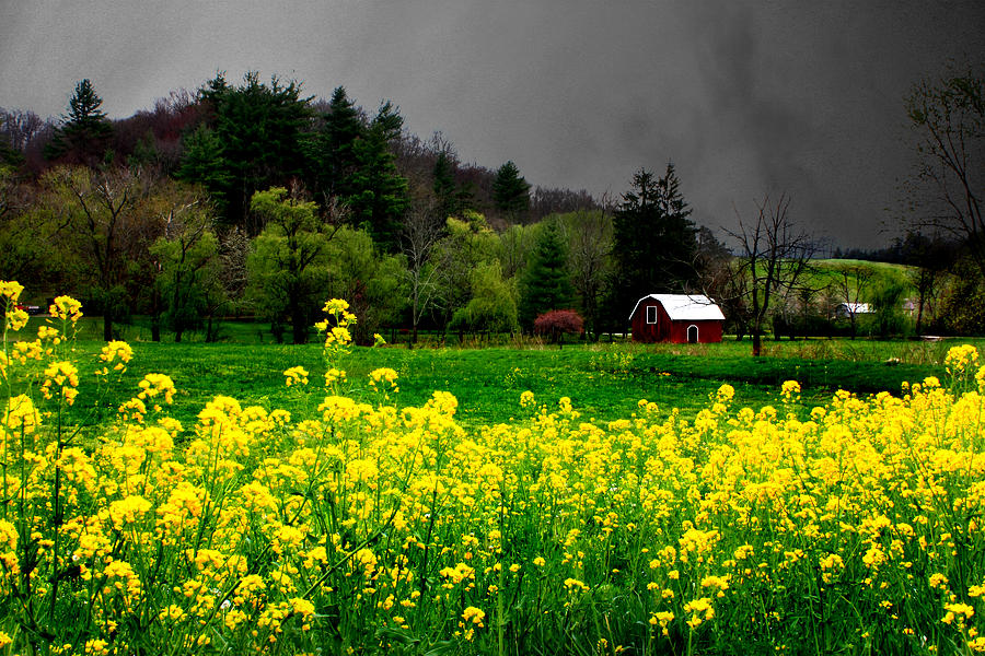 Haywood County Countryside Photograph by Gray  Artus