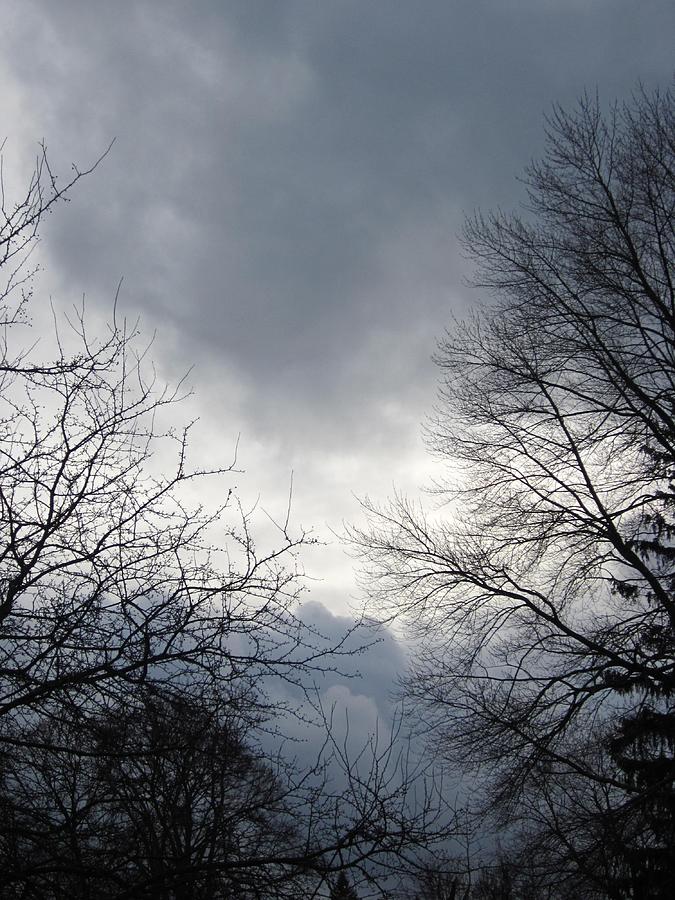 Tree Photograph - Hazy Cloudy Sky by Guy Ricketts