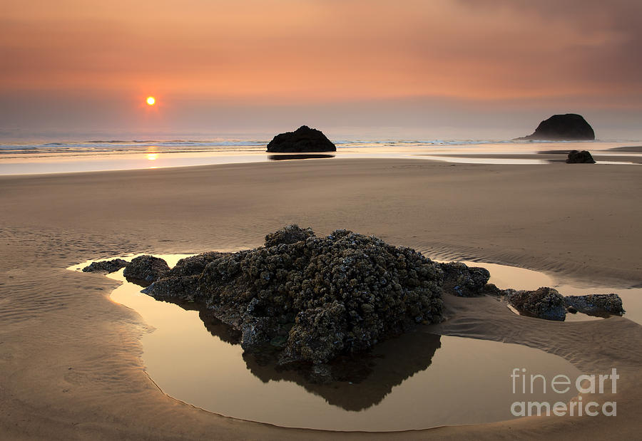 Beach Photograph - Hazy Oregon Sunset by Michael Dawson