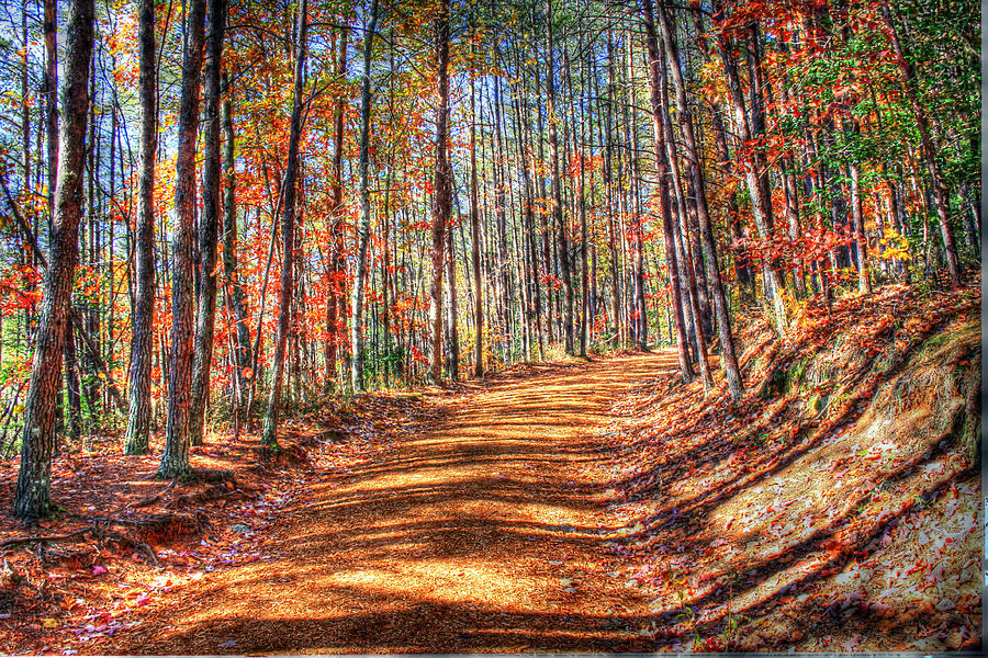 HDR- Fall Trail Photograph by Joe Myeress