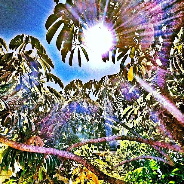 Instagram Photograph - #hdr #hdrlovers #hdroftheday #photo by Cory Ayers