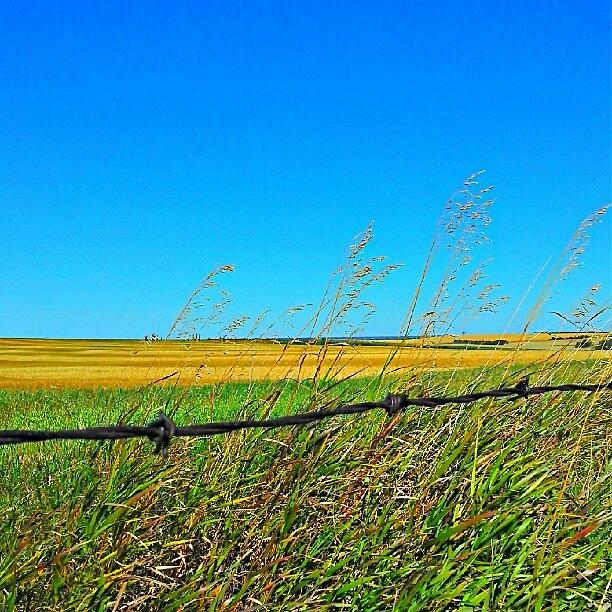 Landscape Photograph - #hdr #saskatchewan #prairie #landscape by Michael Squier