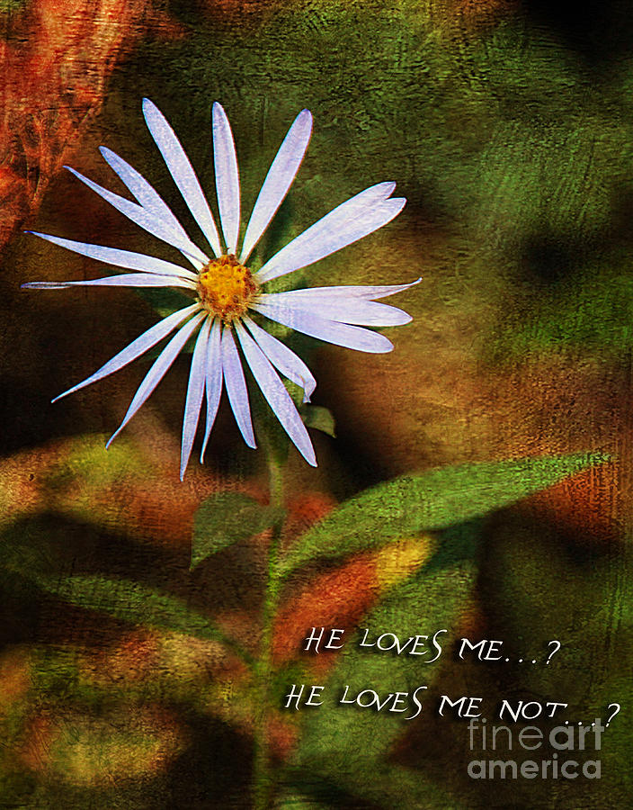 Nature Photograph - He Loves me not by Billie-Jo Miller
