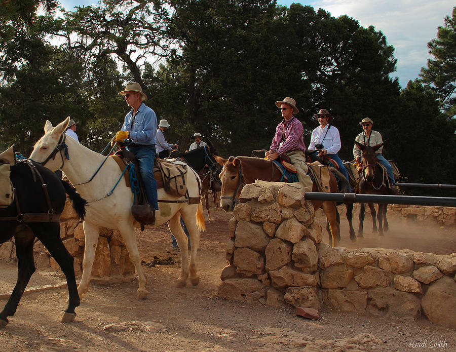 Grand Canyon National Park Photograph - Heading Out by Heidi Smith