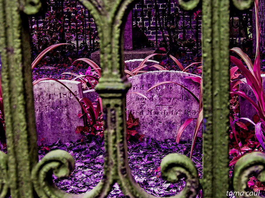 Headstones Photograph - Headstones Through the Gate by Toma Caul