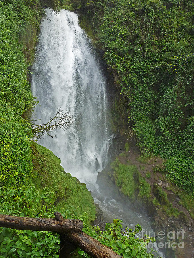 Headwaters Peguche Falls Ecuador Photograph by Julia Springer