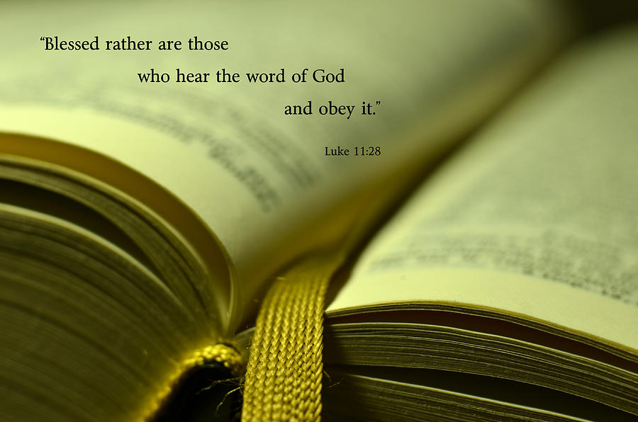 Hear The Word of God Photograph by J L | Fine Art America