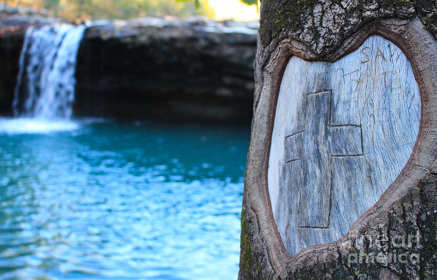 Heart Carving Photograph by Tammy Chesney