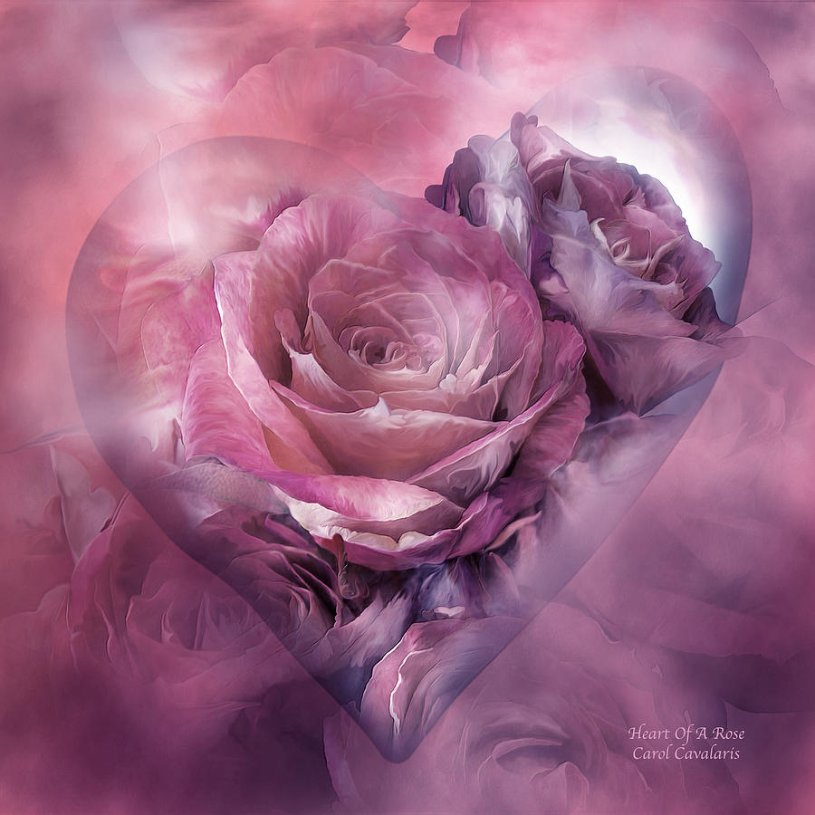Heart Of A Rose - Mauve Purple Mixed Media by Carol Cavalaris