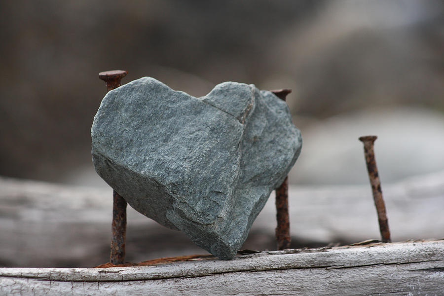 Heart of Stone Photograph by Cathie Douglas