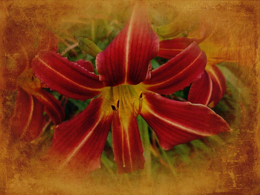 Heart of the Lily Photograph by Carol Senske