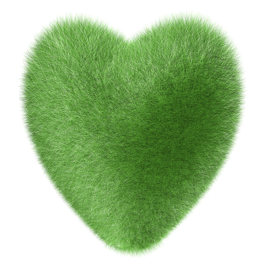 Heart Overgrown With Green Grass On White Photograph by Artpartner-images