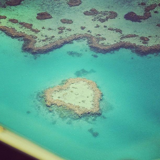 Holiday Photograph - Heart Reef Qld Thankyou @hamiltonisland by Pauly Vella