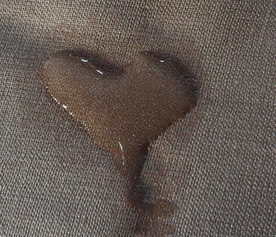 Heart Shaped Tears Photograph by Shannon Grissom