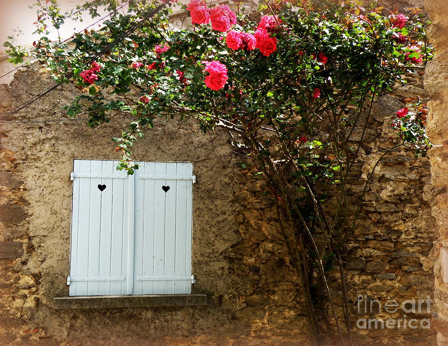 Heart Shutters and Red Roses Photograph by Lainie Wrightson