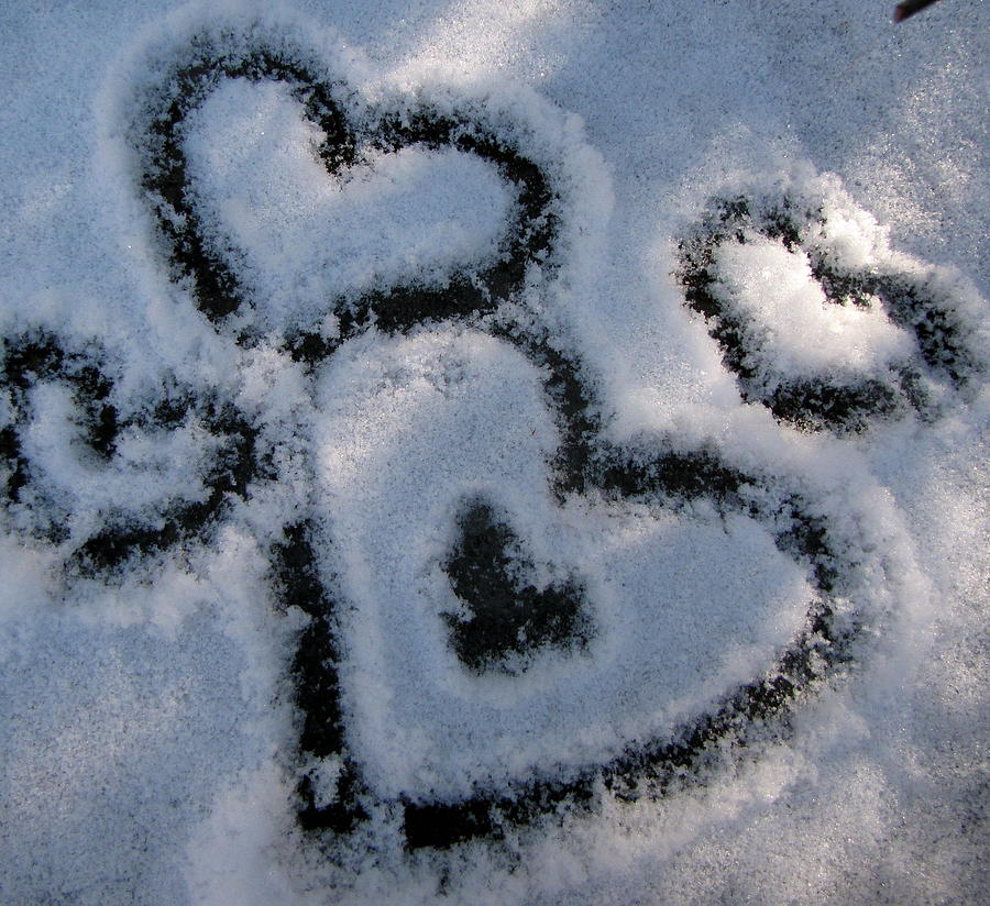 Hearts in Snow Photograph by Lori Miller