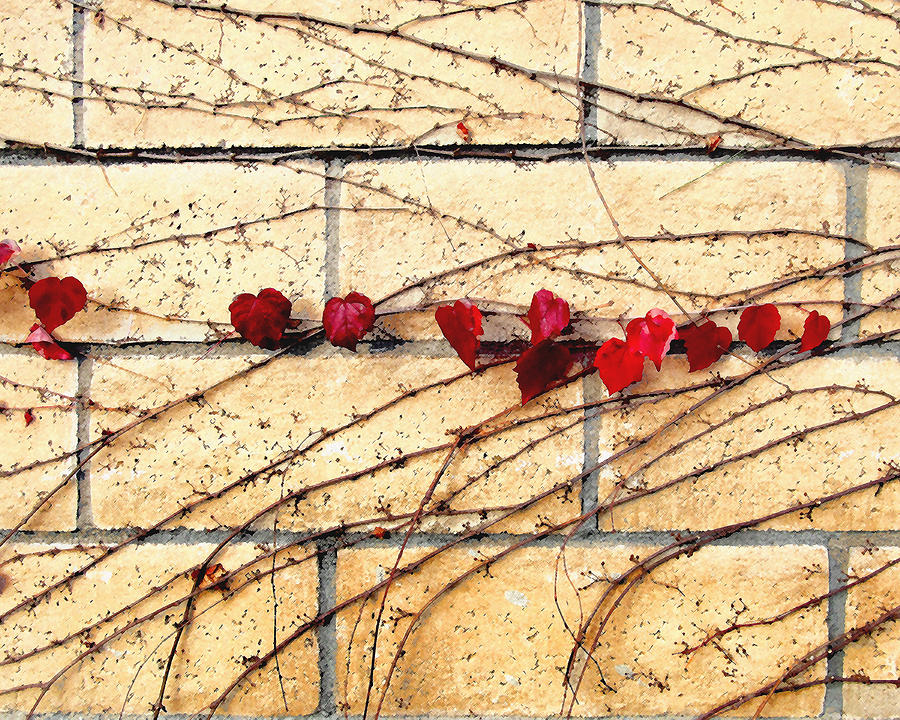 Vine Digital Art - Hearts on the Wall by Timothy Bulone