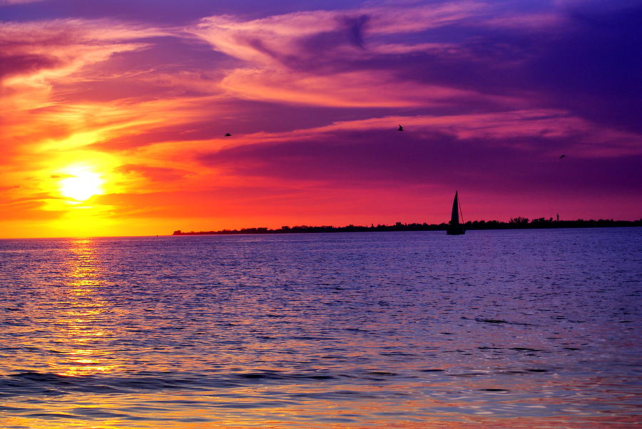 Sunset Photograph - Heavenly Shades Of Purple by Florene Welebny