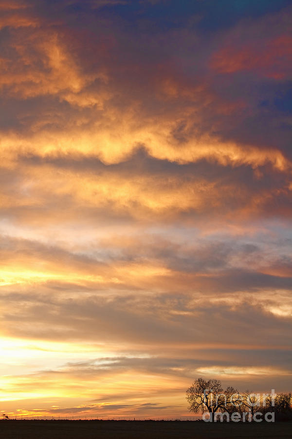 Heavenly Sunrise Photograph by James BO Insogna - Fine Art America