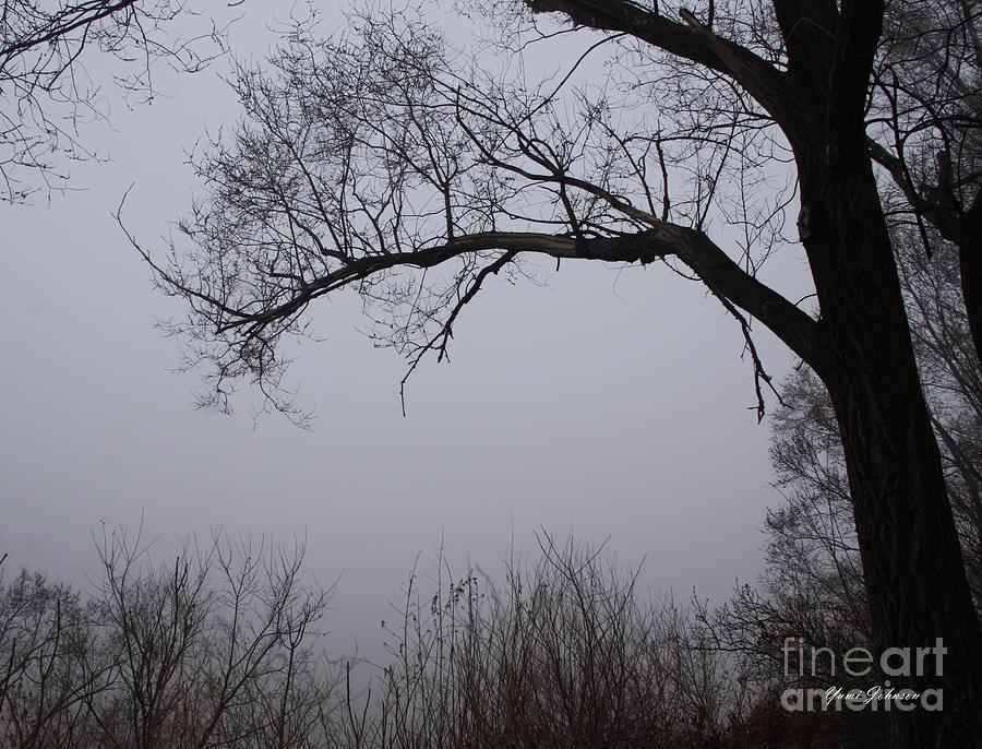 Spring Photograph - Heavy Fogg by Yumi Johnson