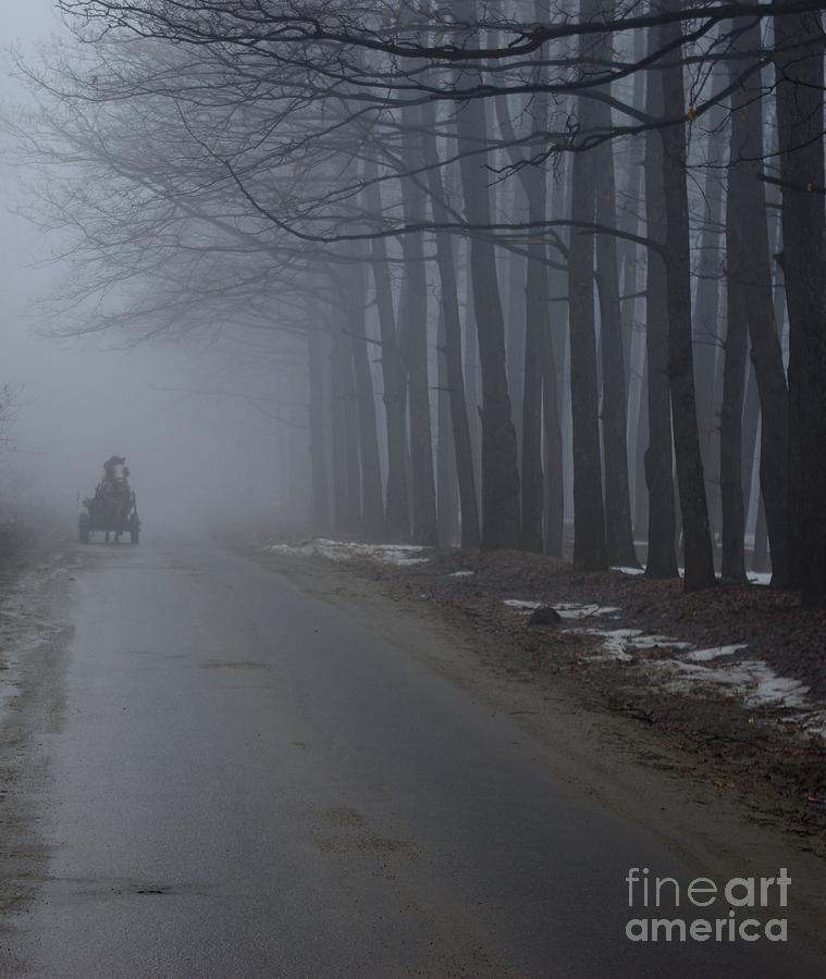 Heavy Foggy Day Photograph by Amalia Suruceanu
