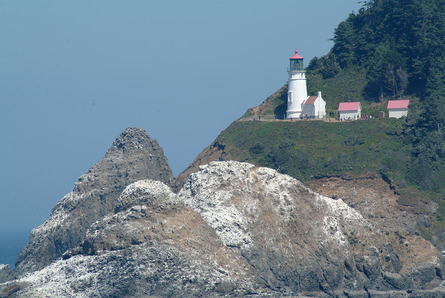 Heceta Head Lighthouse 3 Photograph by Ken Dey - Pixels