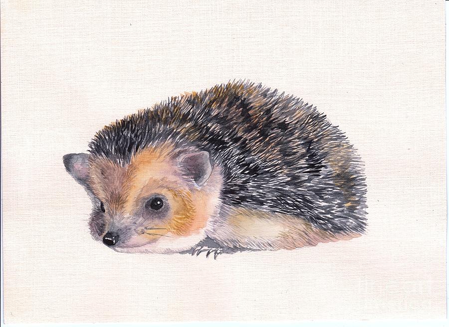 Hedgehog Painting by Helen Miro