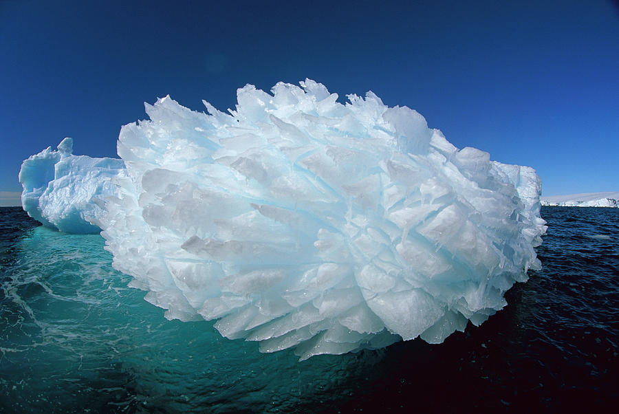 Hedgehog Iceberg, Terre Adelie Land Photograph by Colin Monteath