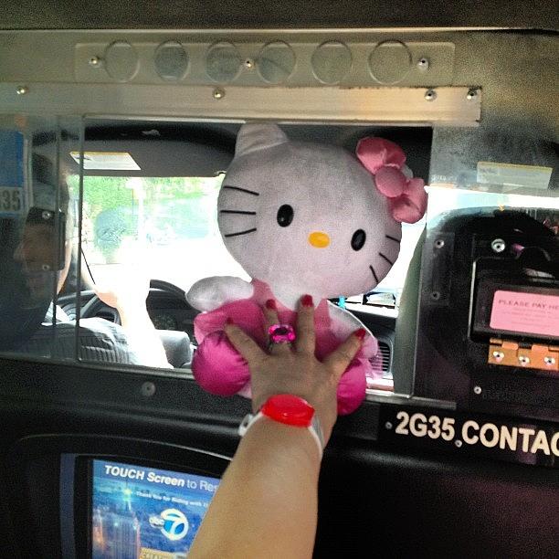 Hello, Kitty In The Cab Photograph by Gerry Visco