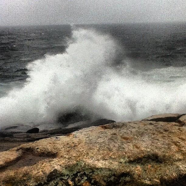 Sea Photograph - Hello #sandy by Tracey Manning