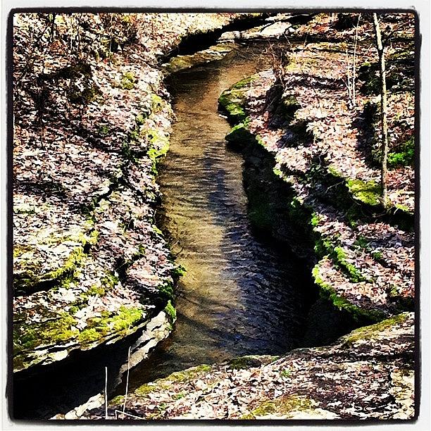 Hells Hollow | Mcconnells Mill State Photograph by Lori Walter