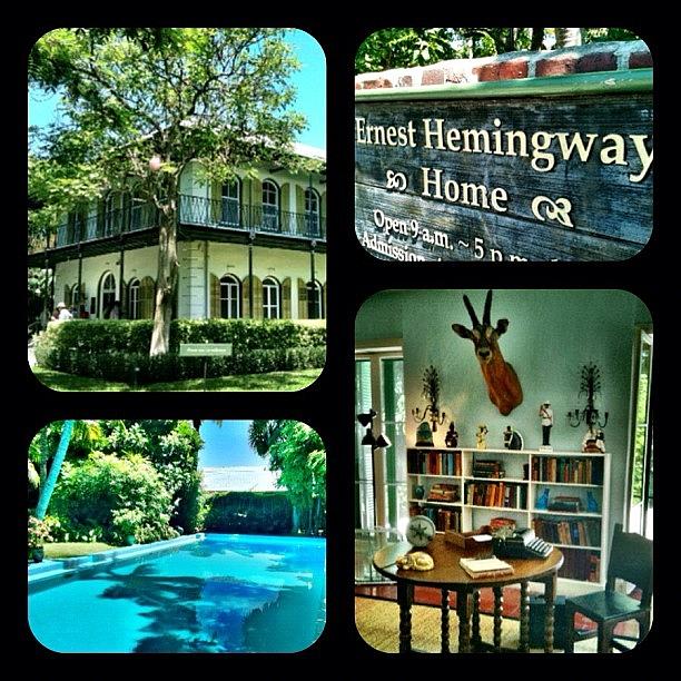Key West Photograph - Hemingway Home by Casey Fessler