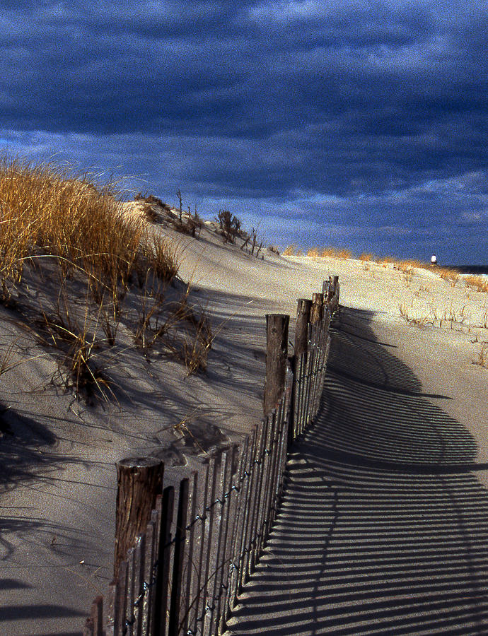 Henlopen Dunes Photograph