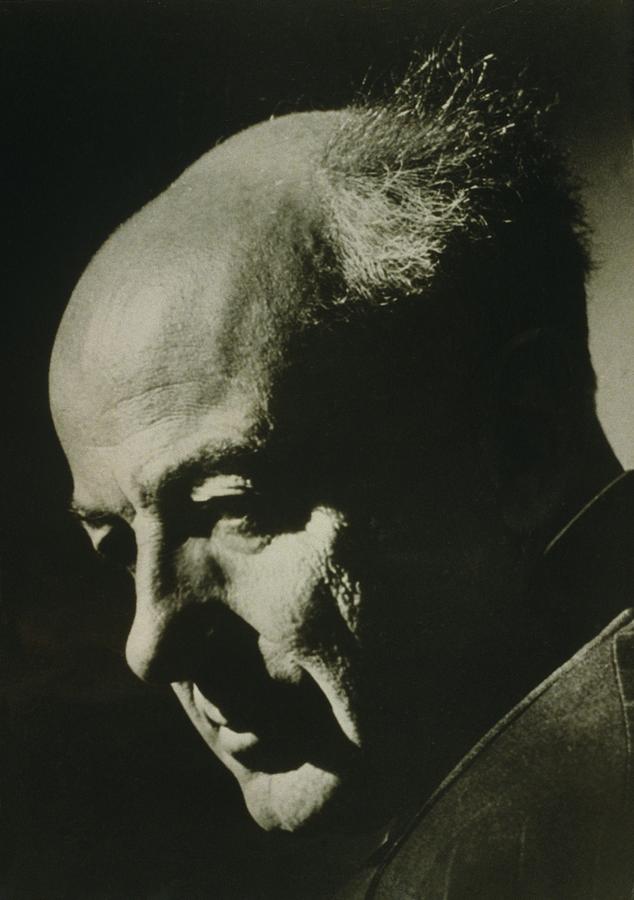 Henry Cowell 1897-1965, Experimental Photograph by Everett - Pixels