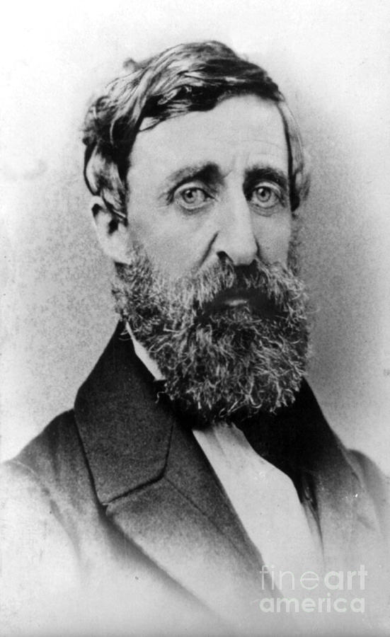 Henry David Thoreau, American Author Photograph by Photo Researchers