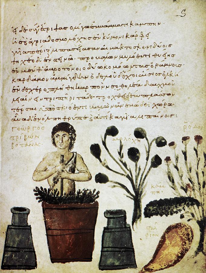 greek herb medicine