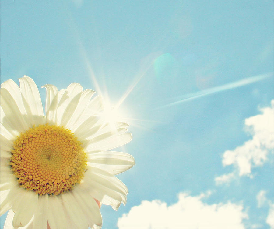 Sun Photograph - Here Comes The Sun by Kristy Campbell Sun Photograph - Here Comes The Sun by Kristy Campbell